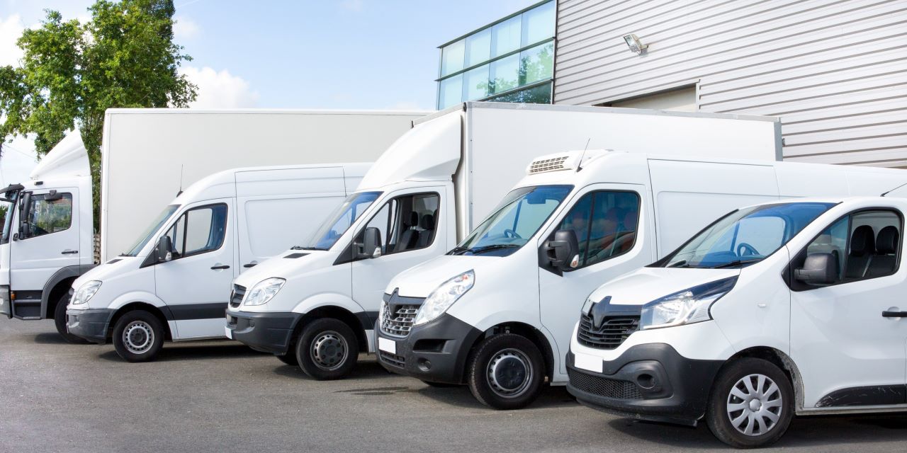 Camionnette d’occasion en Belgique